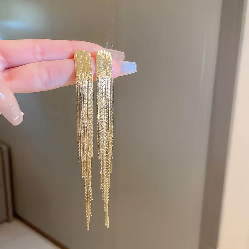 Chain Tassel Long Earrings for Women