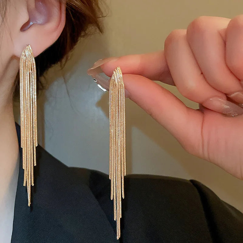 Chain Tassel Long Earrings for Women