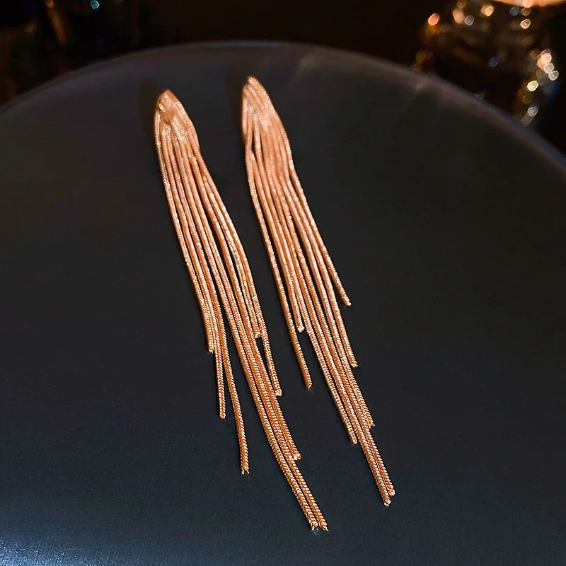 Chain Tassel Long Earrings for Women