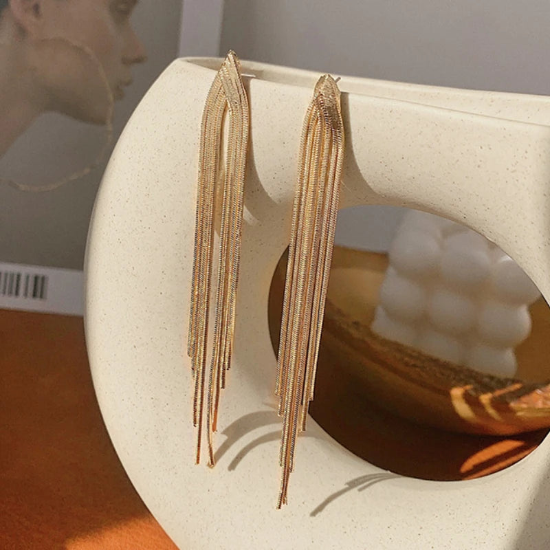 Chain Tassel Long Earrings for Women