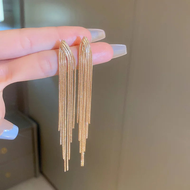 Chain Tassel Long Earrings for Women